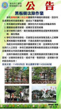 修德國小圍牆黑板樹汰除公告圖片